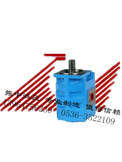 實用的高壓齒輪油泵【廠家直銷】——濰坊三聯齒輪油泵