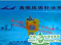 濰坊龍工CBGJ3高壓雙聯泵廠家推薦，價格合理的龍工CBGJ3高壓雙聯泵