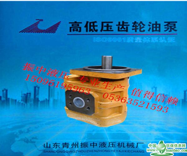 挖掘機齒輪油泵廠家哪家好|貴州裝載機齒輪油泵
