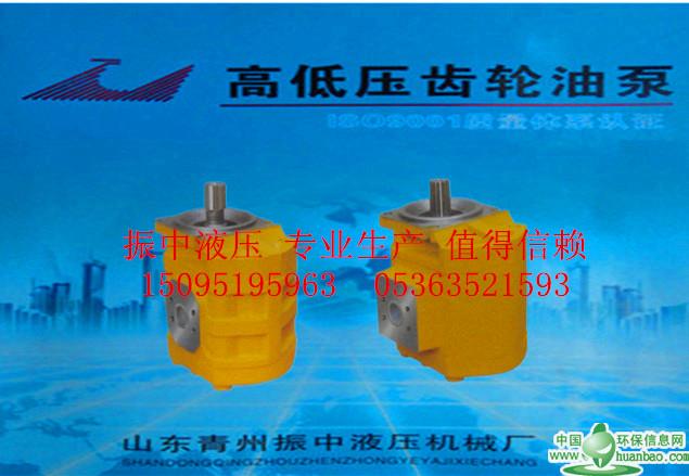 為您推薦優質的推土機齒輪油泵|青州推土機齒輪油泵