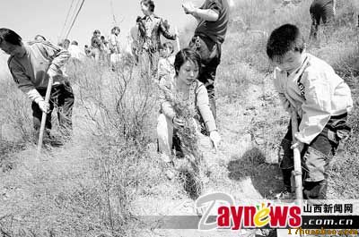 十年不懈植樹綠化三晉大地：“綠色與健康同行”環保宣傳活動吸引車友積極響應
