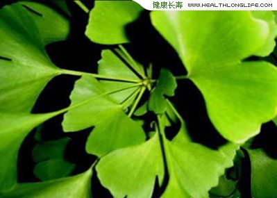 民間流傳的6種飲食誤區