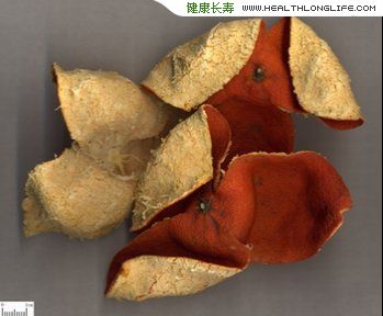 案例:橘皮泡茶喝拉肚子