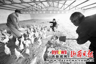 以養殖、沼氣生產為一體的環保能源企業在平魯區投入運行