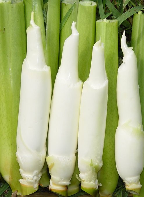 常吃8種菜可預防8種癌癥疾病