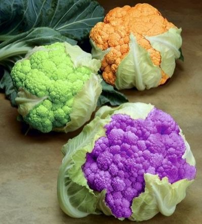 常吃8種菜可預防8種癌癥疾病