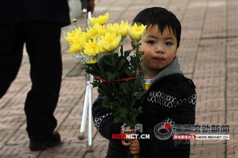 清明祭掃新面貌 低碳風尚更環保