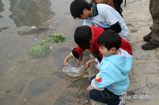 孩子們將魚苗放生 