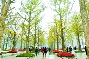 街道設環保監督站，市民可就近舉報
