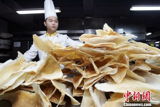 山西企業家免費發放2000份魚翅“炒作”環保