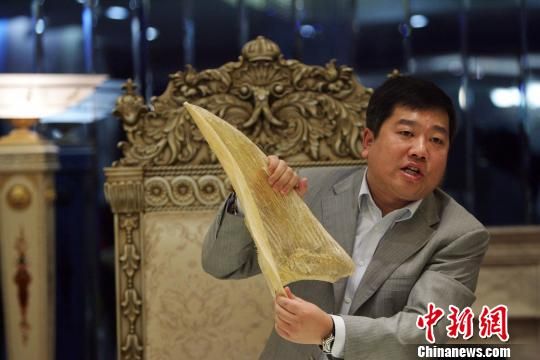 山西企業家免費發放2000份魚翅“炒作”環保