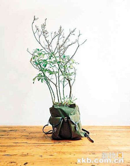 環保花盆，你用過哪些？