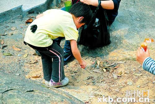 “驢友”們登火爐山不忘撿垃圾宣傳環保意識