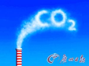 市民可買“碳中和項目”促環保