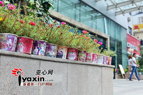 烏魯木齊市一酒店門前開拓“環保農場”方便面碗里種花草