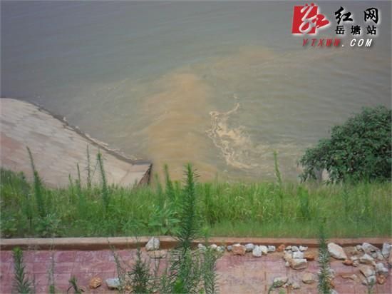 網友爆湘江入水口受污染湘潭市環保局介入調查