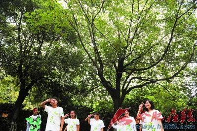 安大環保協會在明珠廣場宣傳保護桂花樹（圖）