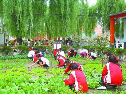 開啟校園節能低碳環保行動