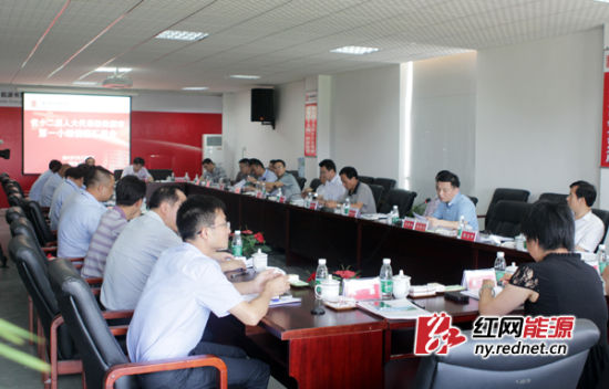 駐株省人大代表第一組到攸縣能源公司視察