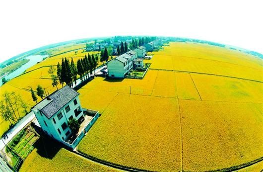 土壤“環保身份證”能否破解土壤污染惡化困局？