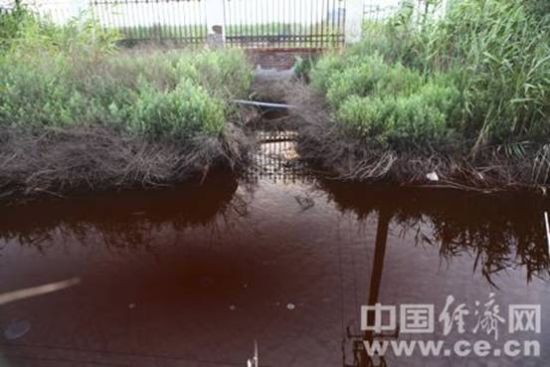 明盛化工廠區東側，紅色酸性污水從廠區內流入廠區外的溝渠中。蔣毅坤/攝