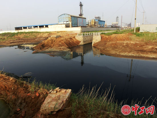 僑昌化學Ｃ一04號廠房對面，發現有兩個排污口通向秦臺河：排放污水東岸口為黑色、西岸口灰色，區別明顯。