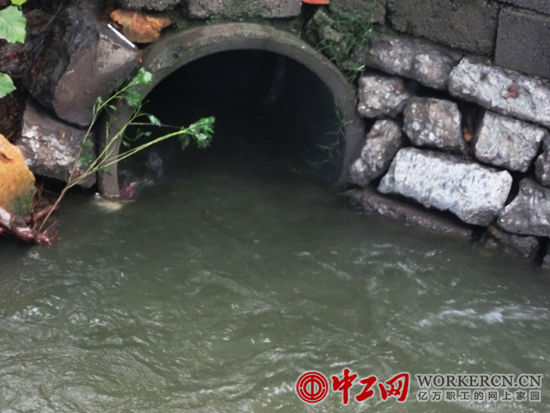 污水地下橫穿206國道，再由“以琳美食園”墻邊潛入地下，倏忽不見。污水經后站村莊頭后溢出，流入溝渠，進入鄰地蒼山縣。(張悅 攝)