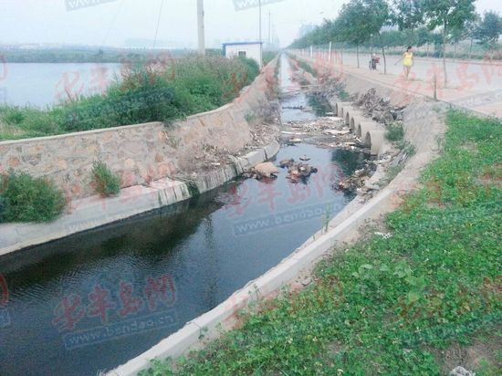 卓越蔚藍群島自來水現銹色異物疑遭化工污染(圖)