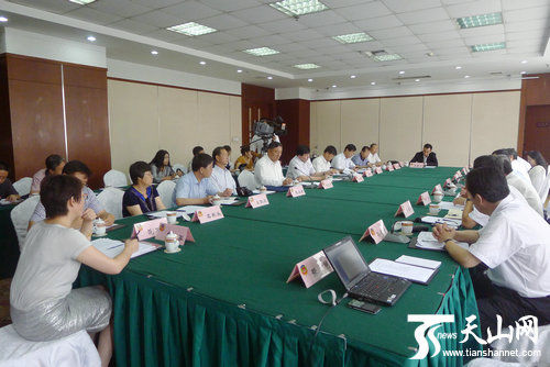 馬培華：努力將新疆建成重要的清潔能源基地