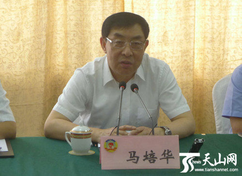 馬培華：努力將新疆建成重要的清潔能源基地