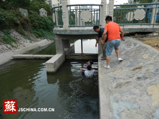 老人散步不慎落水南京建鄴環保局人員跳河相救