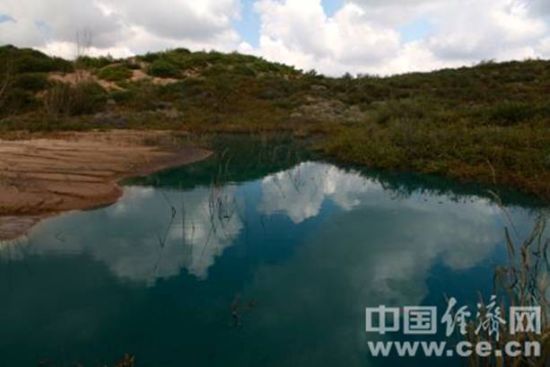綠色污水在荒漠中匯聚成湖。蔣毅坤攝