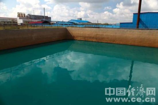 明州化工廠區內污水池。蔣毅坤攝