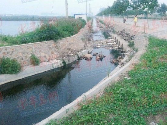 卓越蔚藍群島自來水現銹色異物疑遭化工污染(圖)