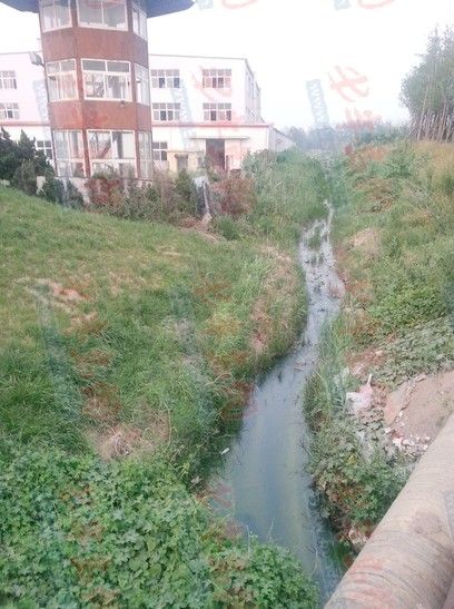 卓越蔚藍群島自來水現銹色異物疑遭化工污染(圖)