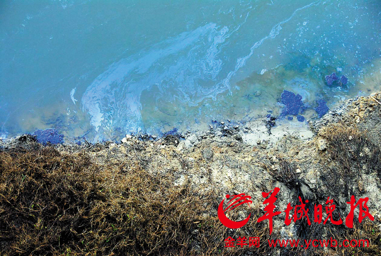 惠州環?？己巳霃V東三甲治理淡水河十四年逆轉