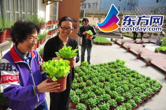 當社區教育遇到上海"綠主婦":傳播環保和諧鄰里