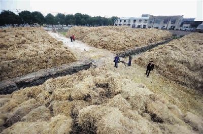 去燃煤換秸稈無煙霧又環保