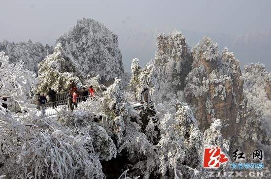 武陵源景區天子山至袁家界環保車暫未恢復通行
