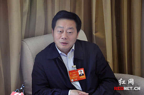 何寄華代表：要加大力度推廣新能源汽車