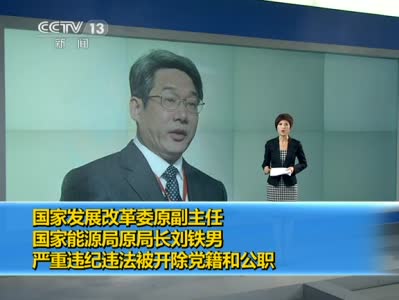 視頻：原國家能源局局長劉鐵男被開除黨籍公職