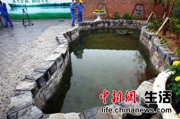 探秘青啤工廠：污水可養魚