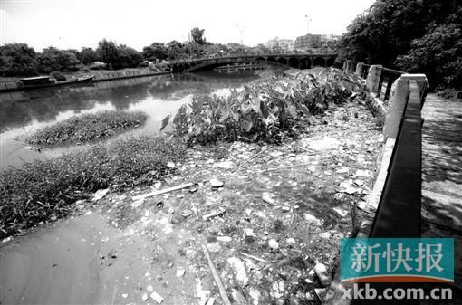 車陂涌水質數據一直在“過山車”中。(資料圖片)新快報記者 王翔/攝