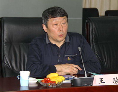 王駿。資料圖