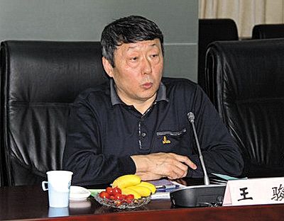 國家能源局新能源和可再生能源司司長王駿。